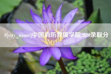酒泉中国消防救援学院2020录取分