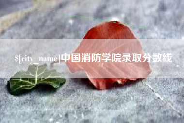 酒泉中国消防学院录取分数线