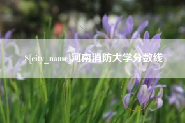 酒泉河南消防大学分数线