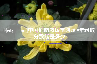 酒泉中国消防救援学院2019年录取分数线是多少