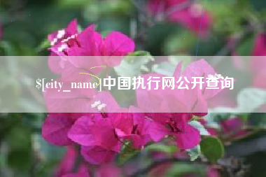 酒泉中国执行网公开查询