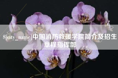 酒泉中国消防救援学院简介及招生章程指挥部