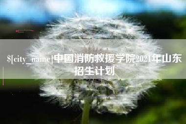 酒泉中国消防救援学院2021年山东招生计划