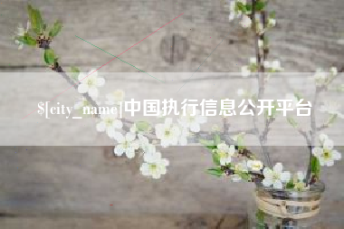 酒泉中国执行信息公开平台