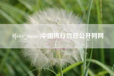 酒泉中国执行信息公开网网