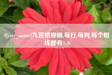 酒泉九宫格规则,每行,每列,每个粗线都有1-9