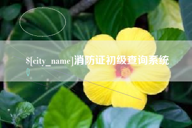 酒泉消防证初级查询系统