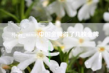 酒泉中国金牌得了几枚金牌
