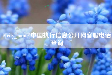 酒泉中国执行信息公开网客服电话查询