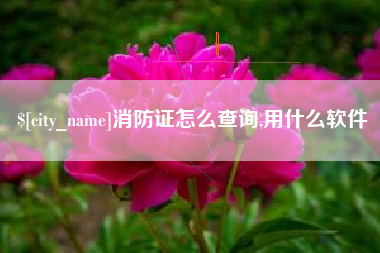 酒泉消防证怎么查询,用什么软件