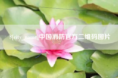 酒泉中国消防官方二维码图片