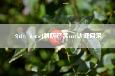 酒泉消防产品cccf认证目录