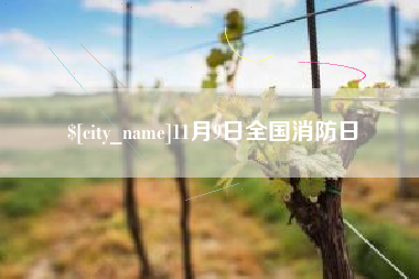 酒泉11月9日全国消防日