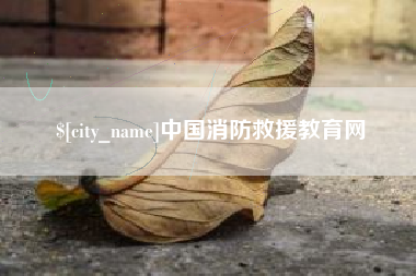 酒泉中国消防救援教育网