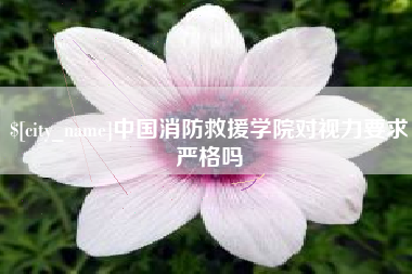 酒泉中国消防救援学院对视力要求严格吗