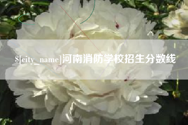 酒泉河南消防学校招生分数线
