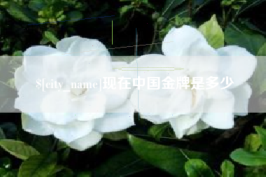 酒泉现在中国金牌是多少