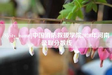 酒泉中国消防救援学院2020年河南录取分数线