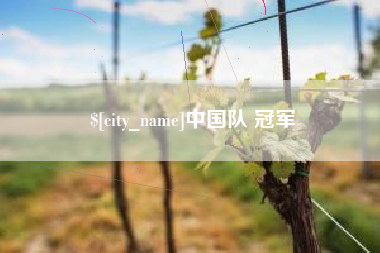 酒泉中国队 冠军