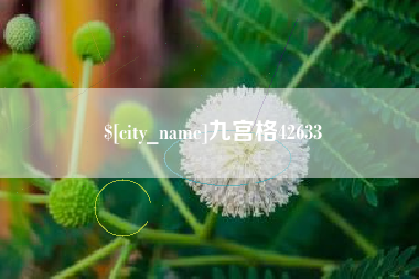 酒泉九宫格42633