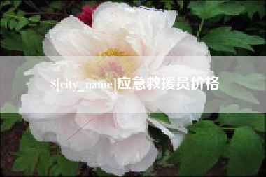 酒泉应急救援员价格
