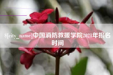 酒泉中国消防救援学院2021年报名时间
