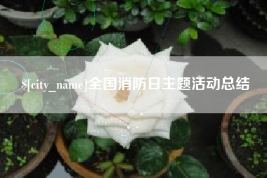 酒泉全国消防日主题活动总结