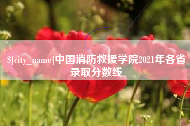 酒泉中国消防救援学院2021年各省录取分数线