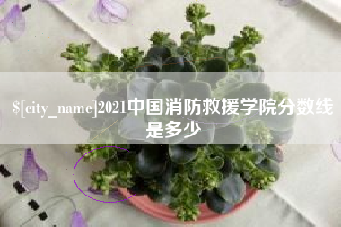 酒泉2021中国消防救援学院分数线是多少