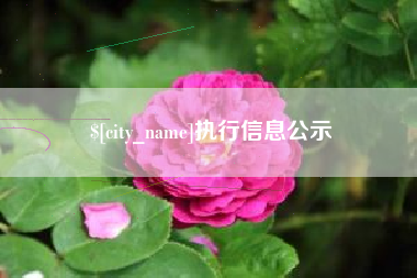 酒泉执行信息公示