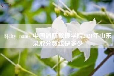 酒泉中国消防救援学院2021年山东录取分数线是多少