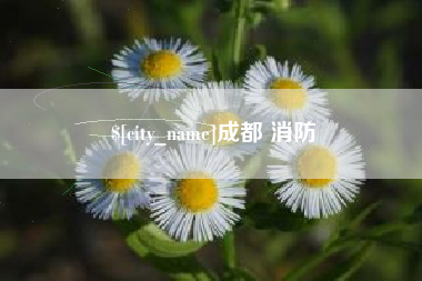 酒泉成都 消防