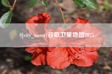 酒泉谷歌卫星地图2025