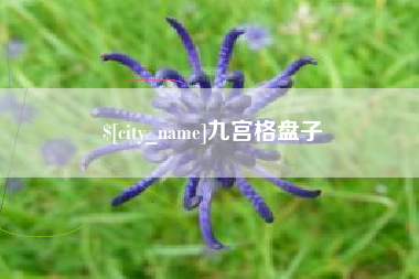 酒泉九宫格盘子