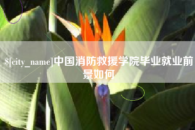 酒泉中国消防救援学院毕业就业前景如何