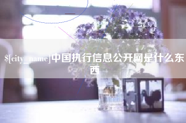 酒泉中国执行信息公开网是什么东西