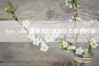 酒泉国家消防救援队伍报名网址