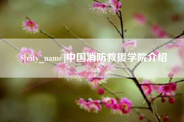酒泉中国消防救援学院介绍