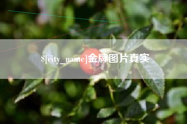 酒泉金牌图片真实