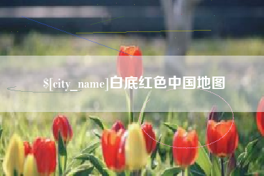 酒泉白底红色中国地图