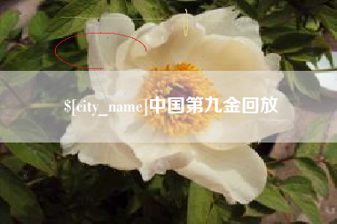 酒泉中国第九金回放