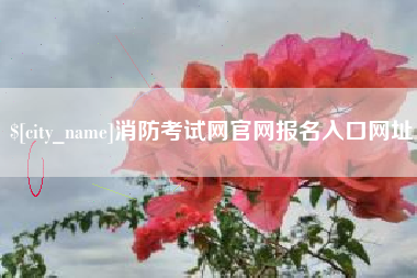 酒泉消防考试网官网报名入口网址