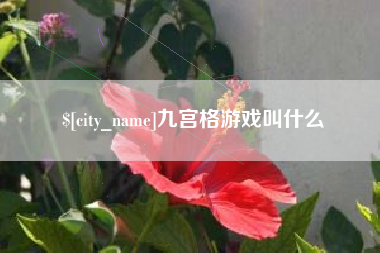 酒泉九宫格游戏叫什么