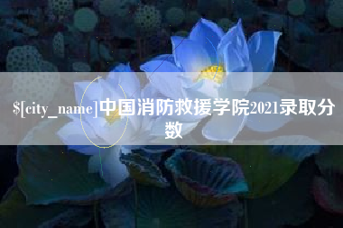 酒泉中国消防救援学院2021录取分数