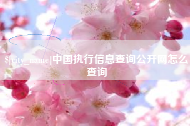 酒泉中国执行信息查询公开网怎么查询