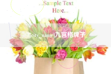 酒泉九宫格牌子