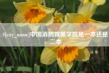 酒泉中国消防救援学院是一本还是二本