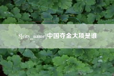 酒泉中国夺金大项是谁