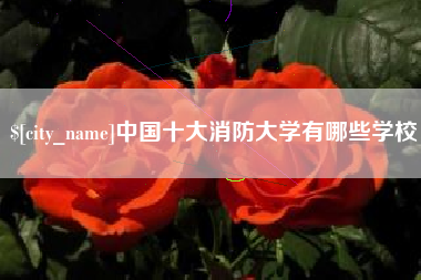 酒泉中国十大消防大学有哪些学校