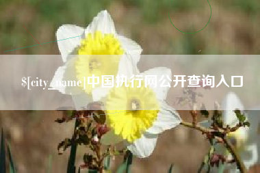 酒泉中国执行网公开查询入口